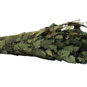 Warda Birkenquast Birkenreisig | Sauna-Zubehör, ideal für Wellness und Spa-Anwendung, geeignet für professionelle Einrichtung