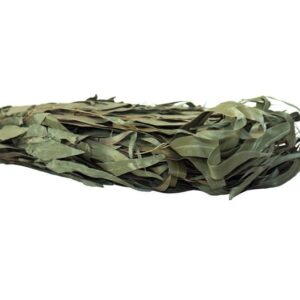 Warda Eukalyptusblatt Eukalyptusquast in 1Stk | Sauna, Wellness & Spa Einsatz, Aromatherapie, unterstützt die Atmung, fördert die Durchblutung